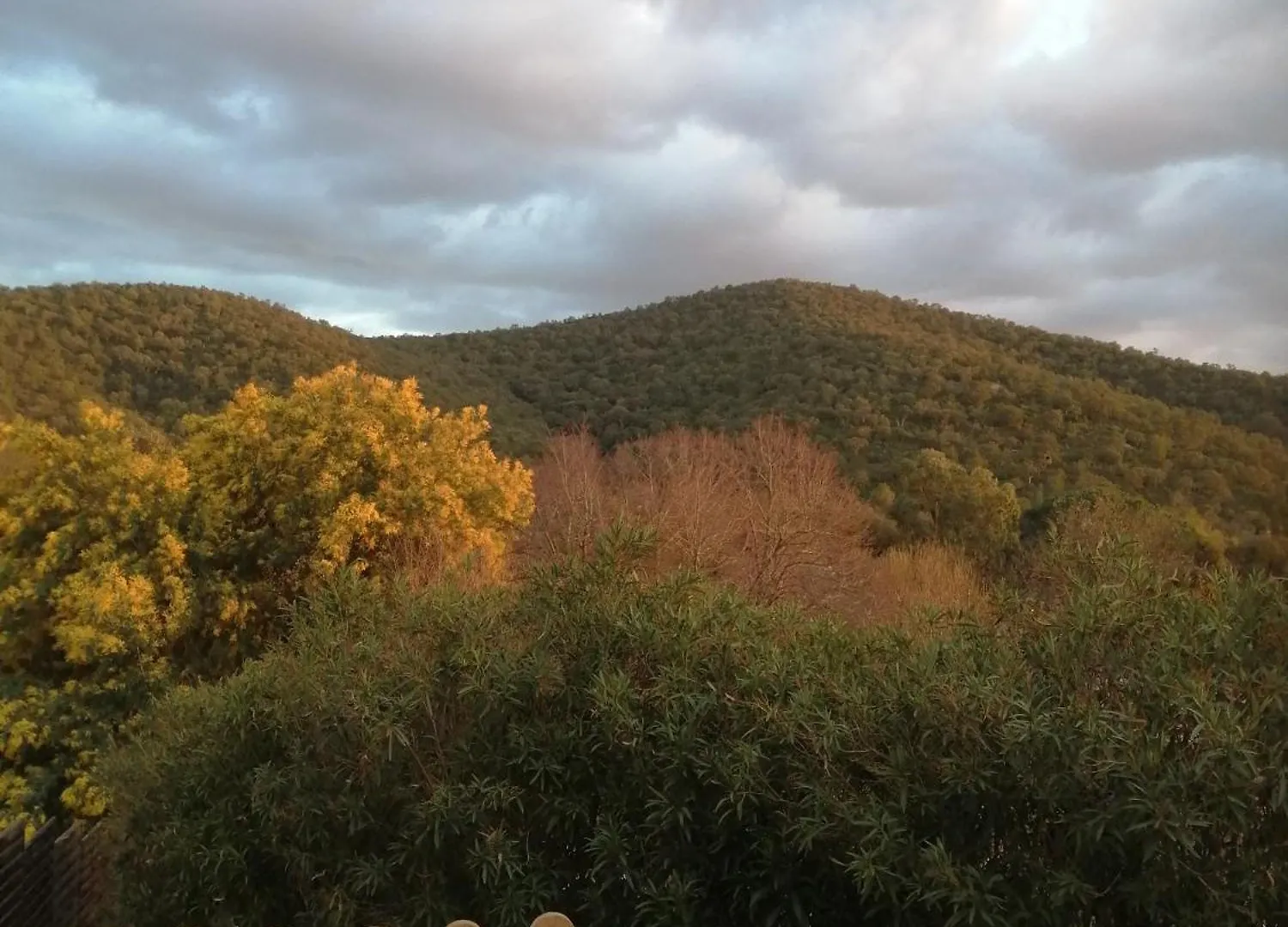 Homestay Hebergement Chez L'Habitant Hyeres Campagne France